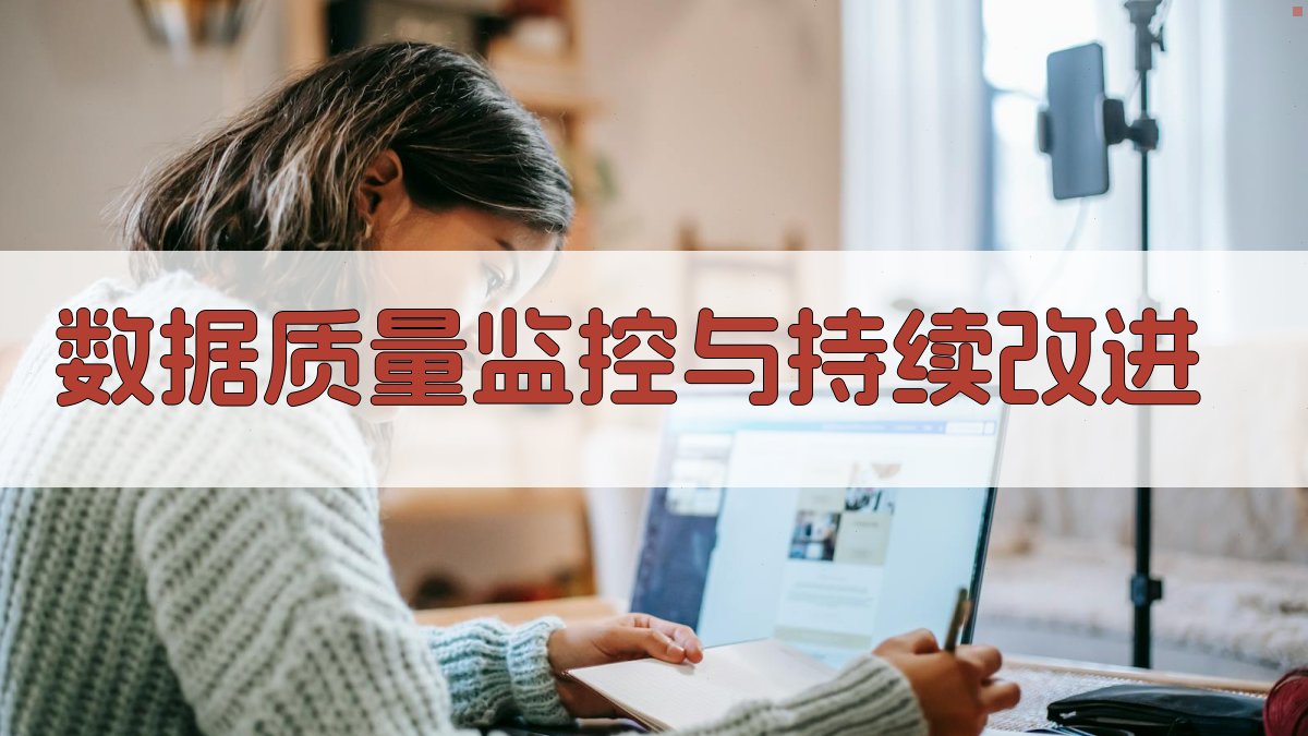 数据质量监控与持续改进 图3