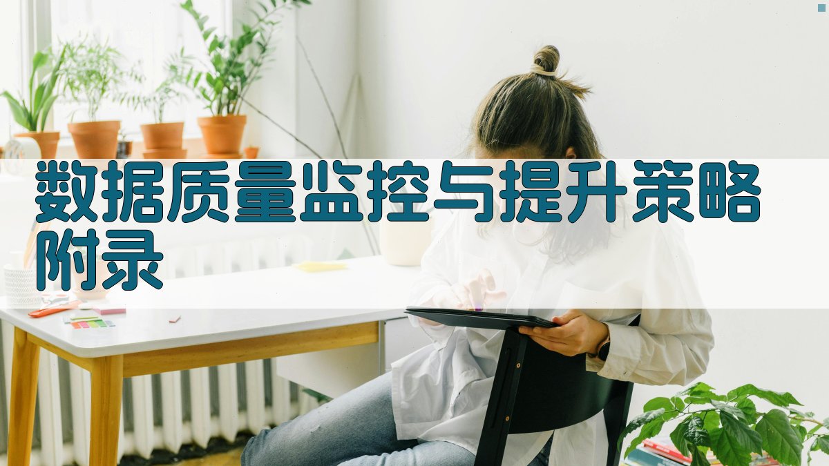 数据质量监控与提升策略 · 附录 图5