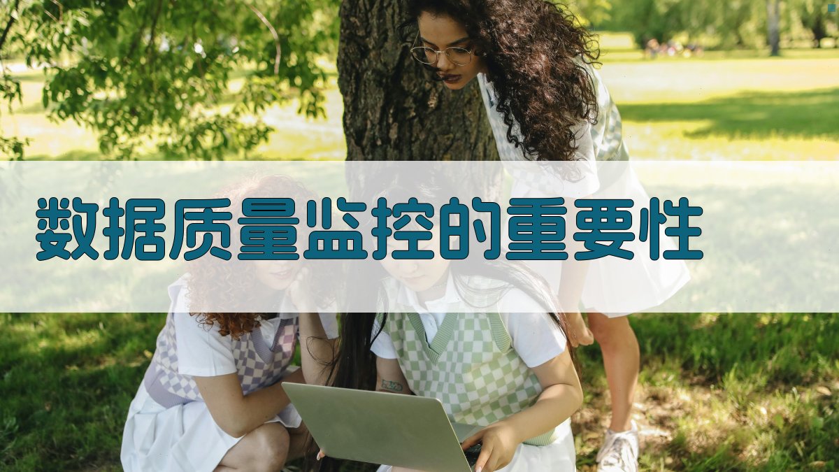 数据治理与数据质量监控体系