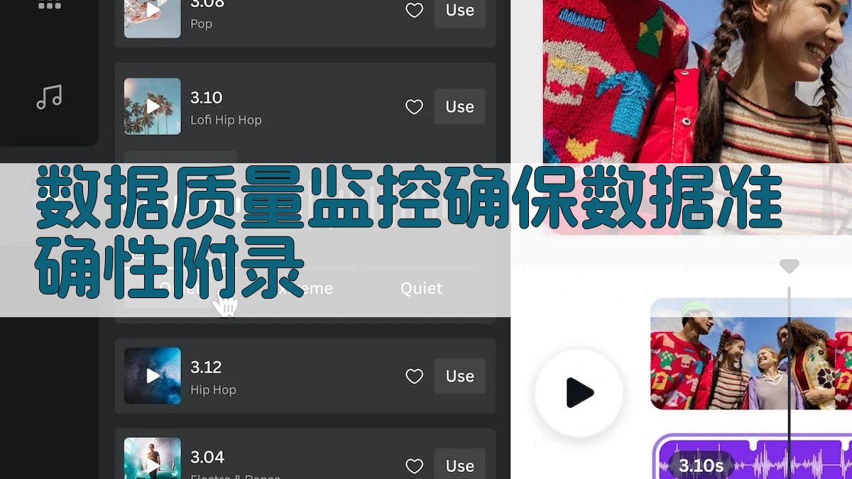 数据质量监控确保数据准确性 · 附录 图5