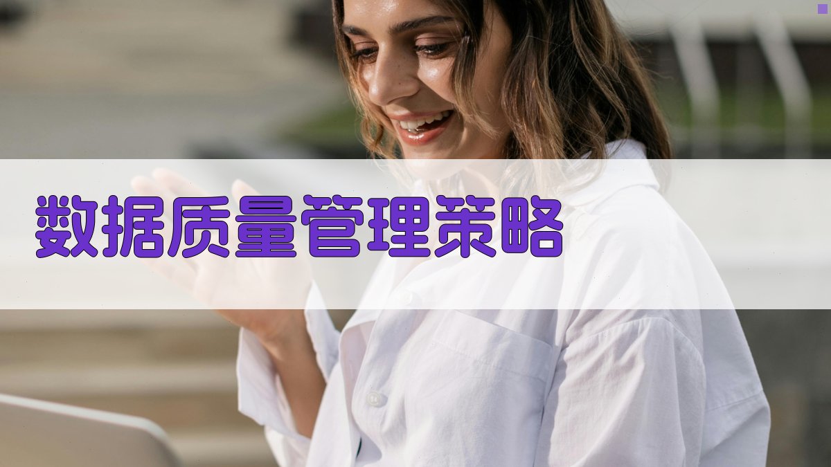 数据质量管理策略 图2