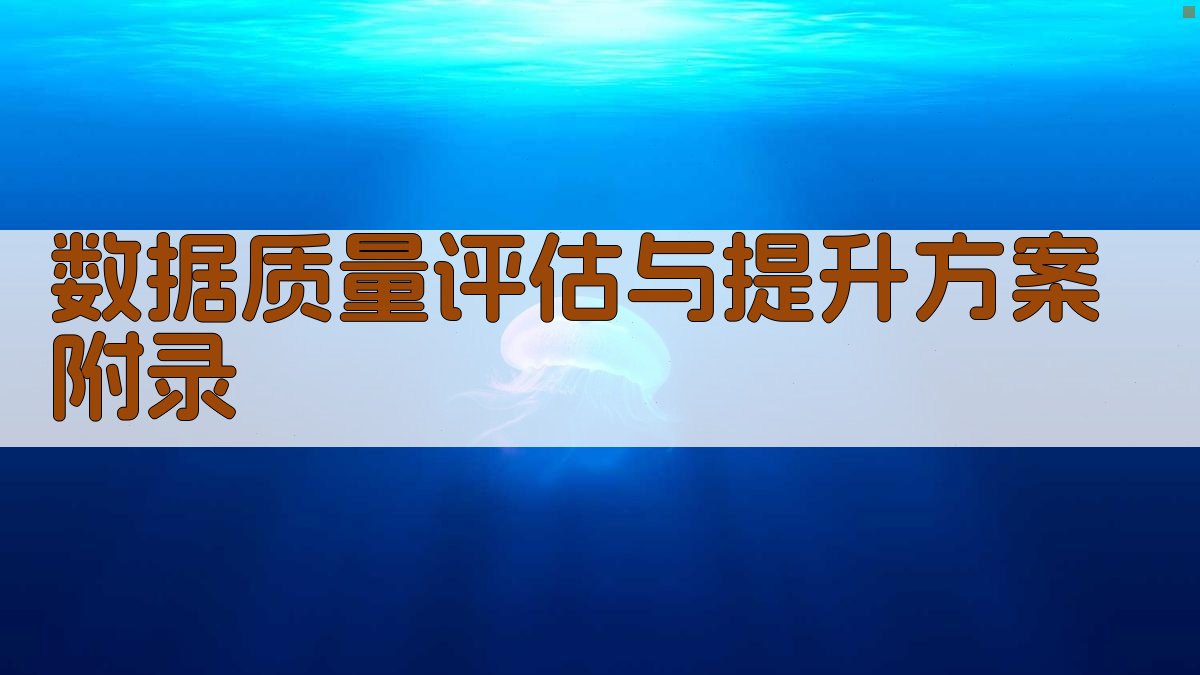 数据质量评估与提升方案 · 附录 图5