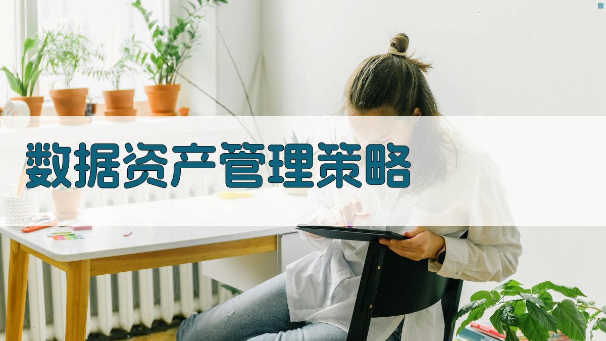 数据资产管理策略 图2