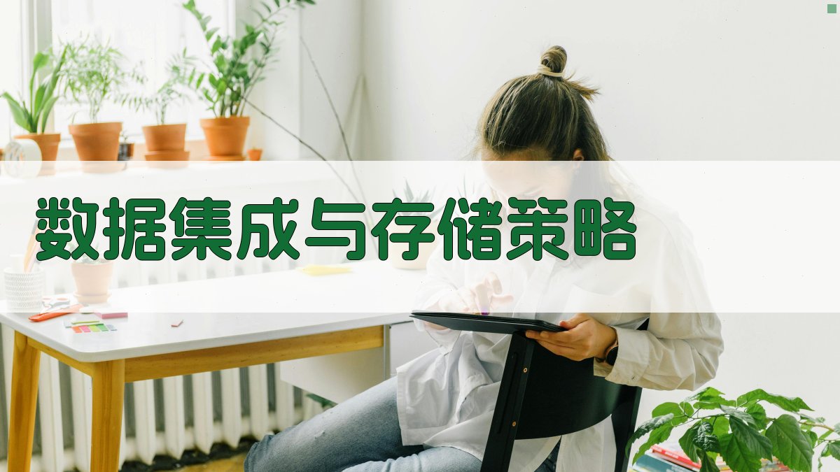 数据集成与存储策略 图3