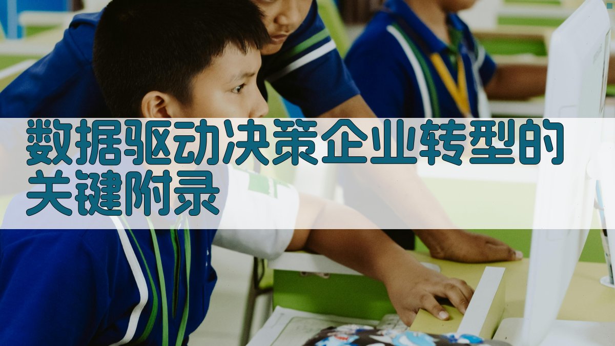 数据驱动决策企业转型的关键 · 附录 图4