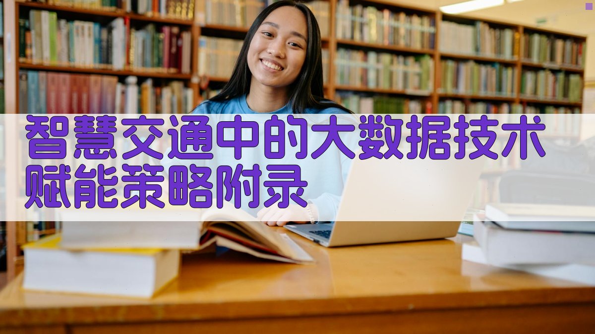 智慧交通中的大数据技术赋能策略 · 附录 图4