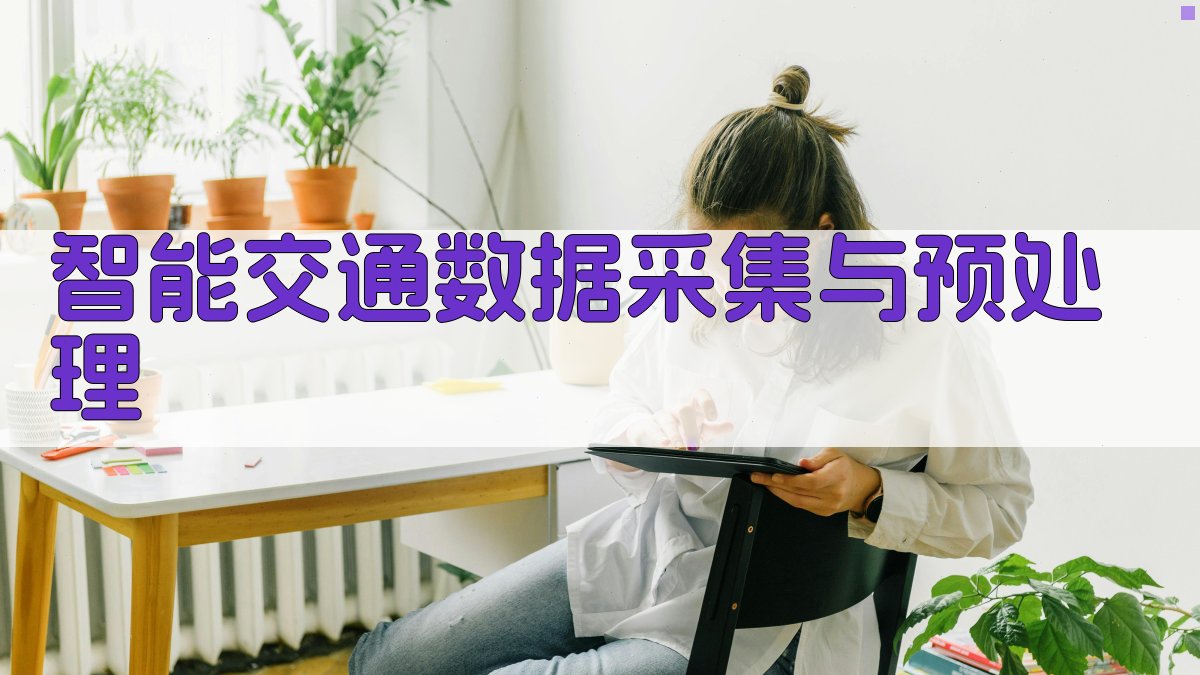 智能交通数据采集与预处理 图1