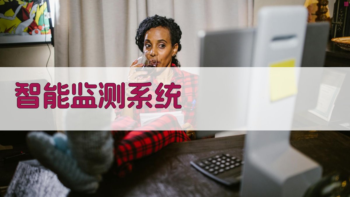 智能监测系统 图2