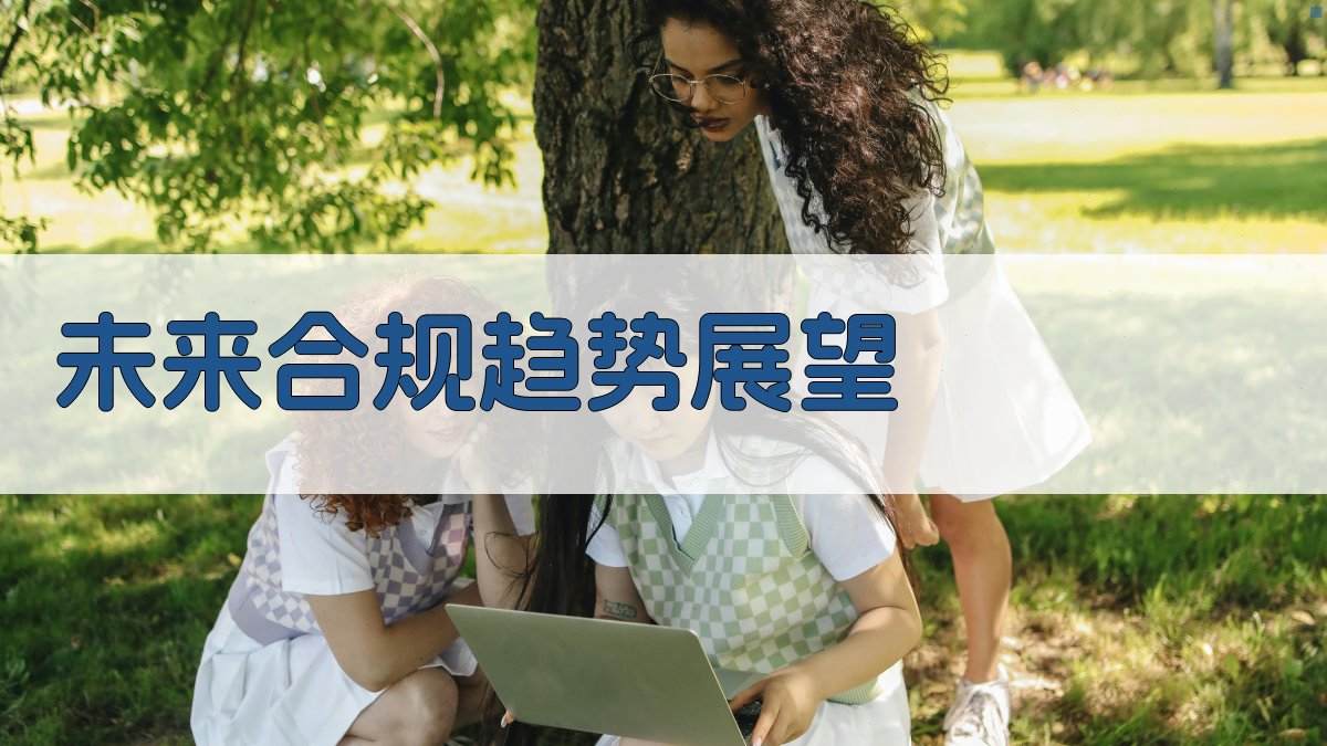 未来合规趋势展望 图3