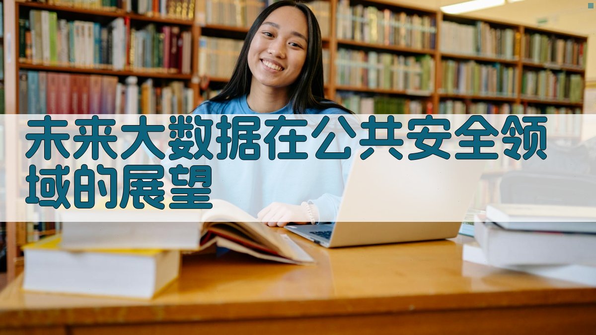 未来大数据在公共安全领域的展望 图3