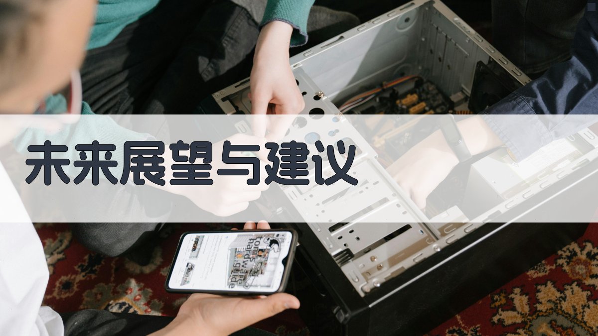 未来展望与建议 图5