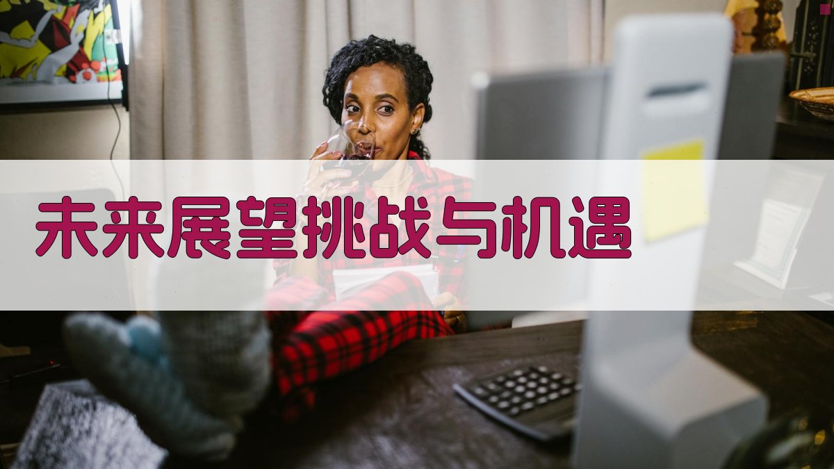 未来展望挑战与机遇 图4