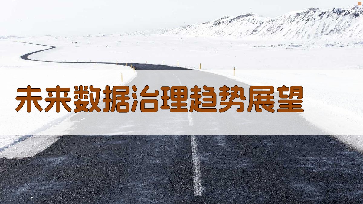 未来数据治理趋势展望 图4