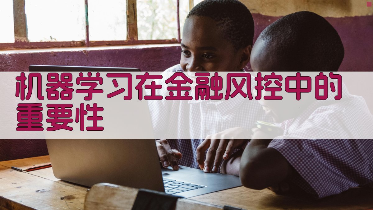 金融风控中的机器学习应用策略