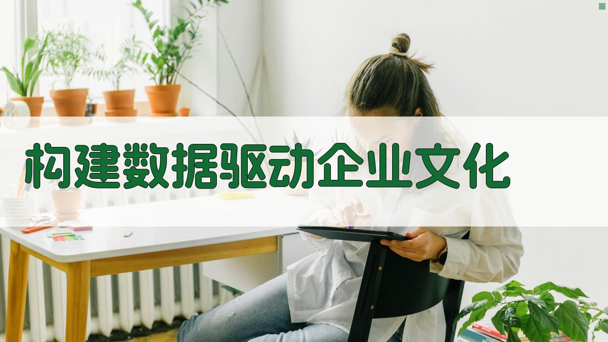 构建数据驱动企业文化 图3