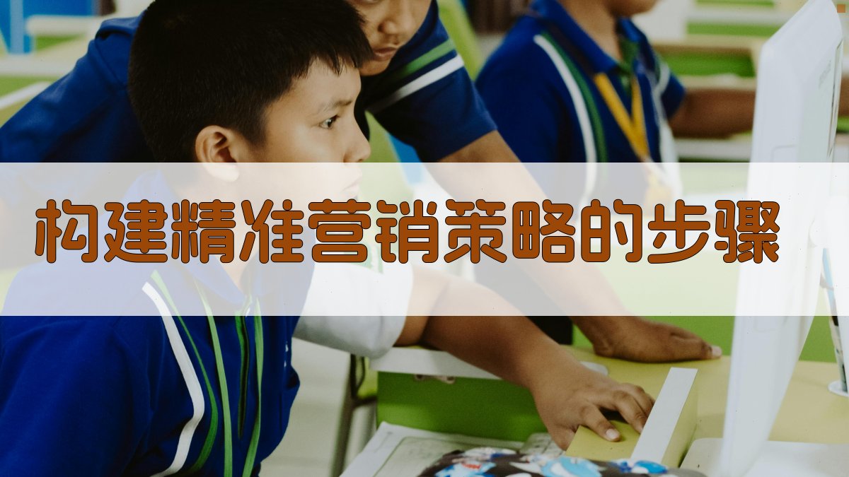 构建精准营销策略的步骤 图3