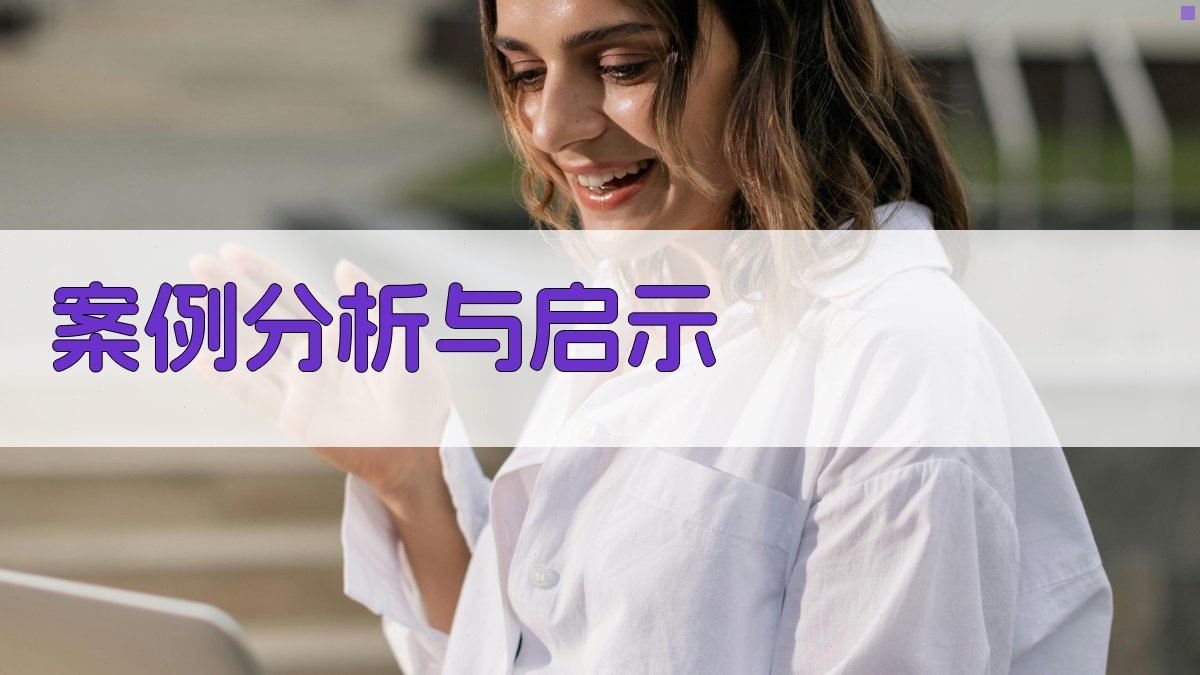 案例分析与启示 图4