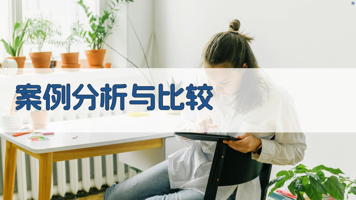 案例分析与比较 图3