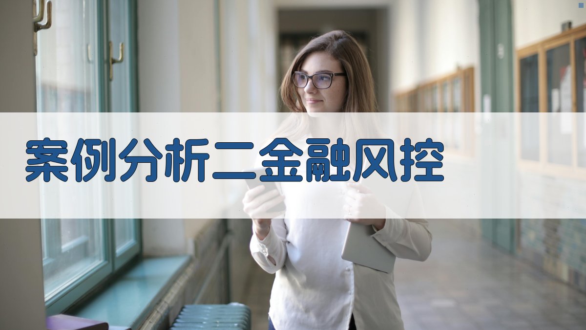 案例分析二金融风控 图2