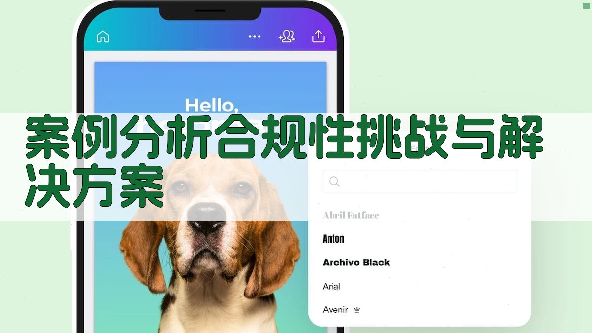 案例分析合规性挑战与解决方案 图2