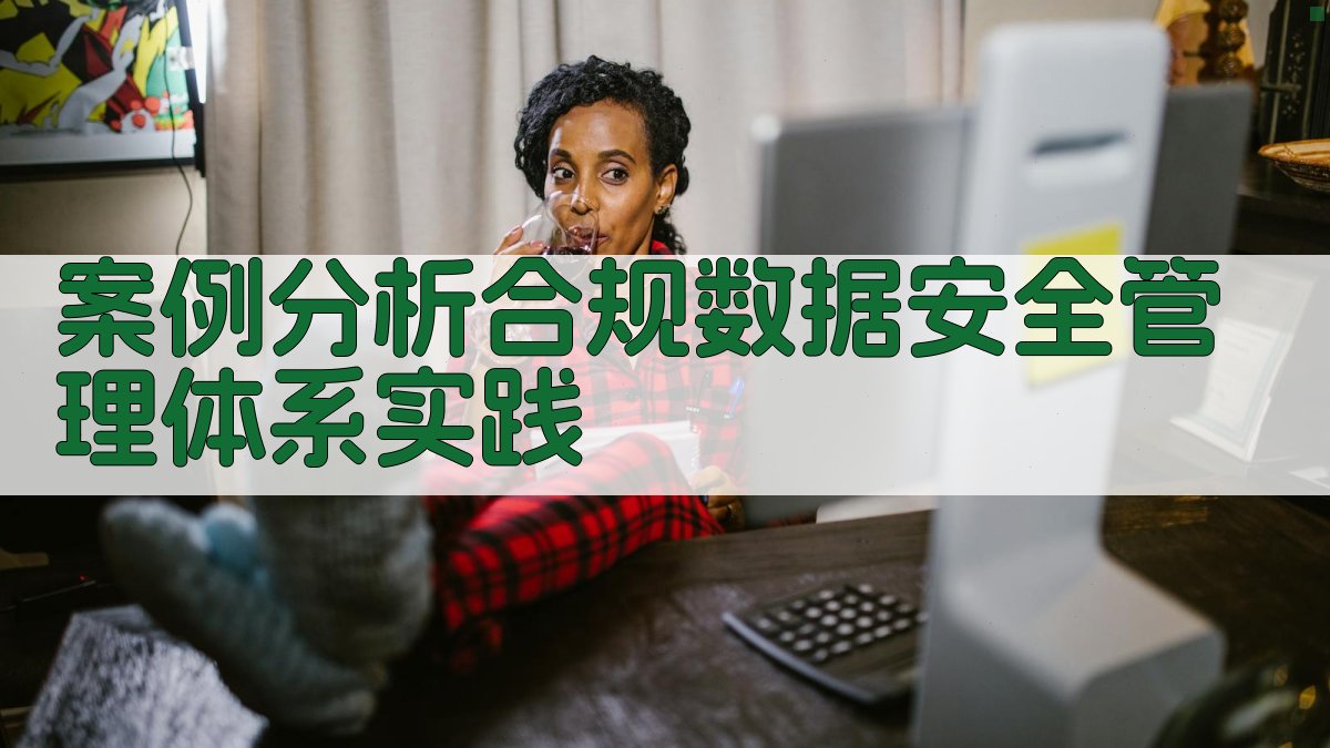 案例分析合规数据安全管理体系实践 图2