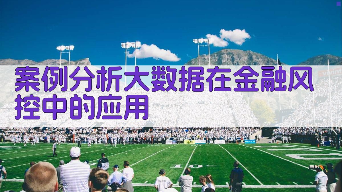 案例分析大数据在金融风控中的应用 图4
