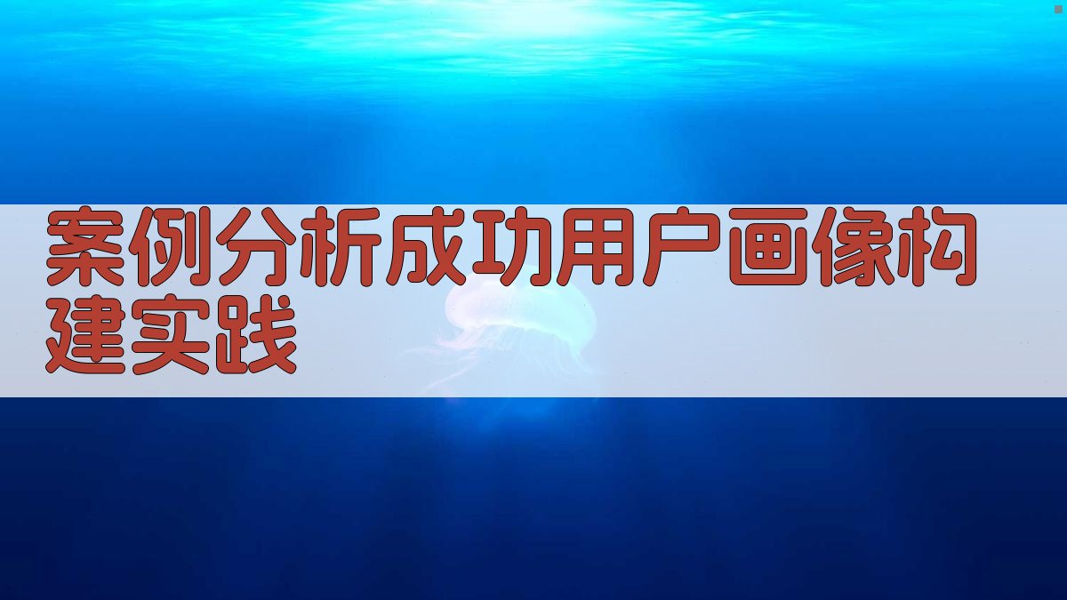 案例分析成功用户画像构建实践 图4