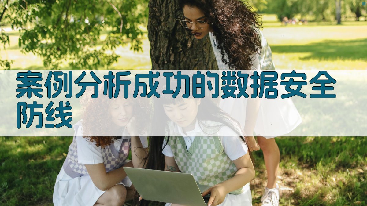 案例分析成功的数据安全防线 图3