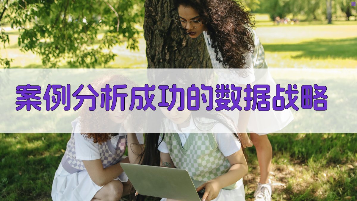 案例分析成功的数据战略 图4