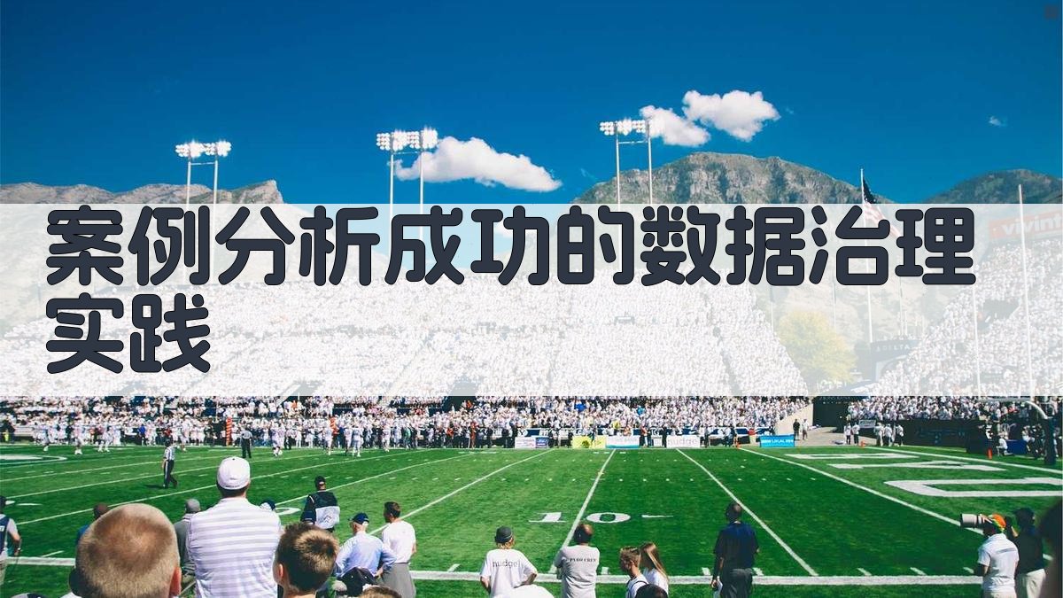 案例分析成功的数据治理实践 图1