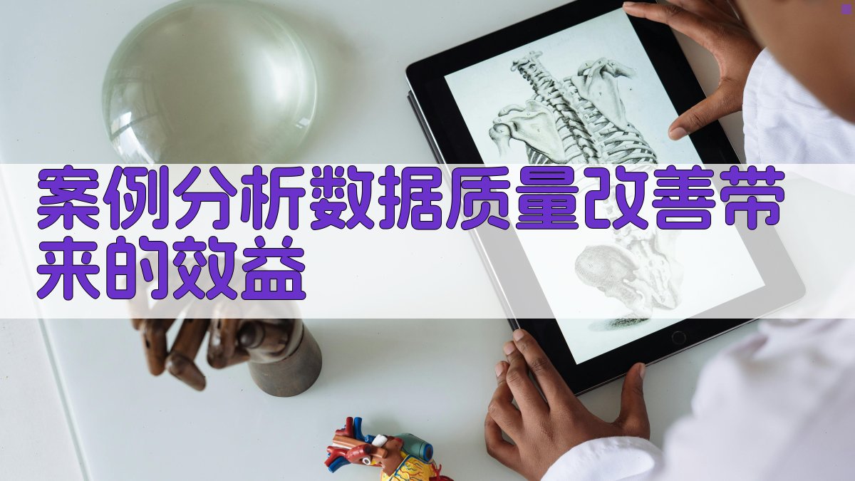 案例分析数据质量改善带来的效益 图3