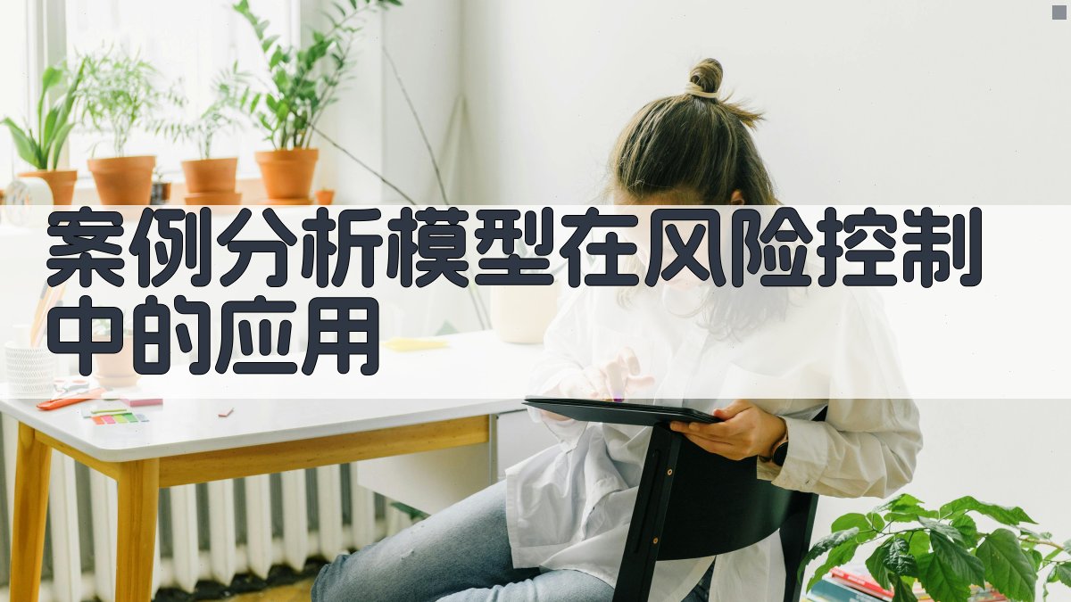 案例分析模型在风险控制中的应用 图3