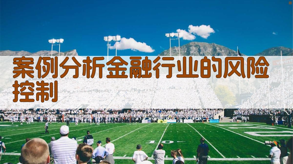 案例分析金融行业的风险控制 图1