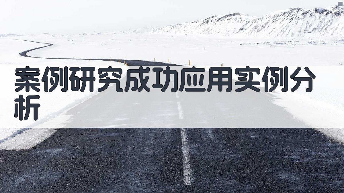 案例研究成功应用实例分析 图3