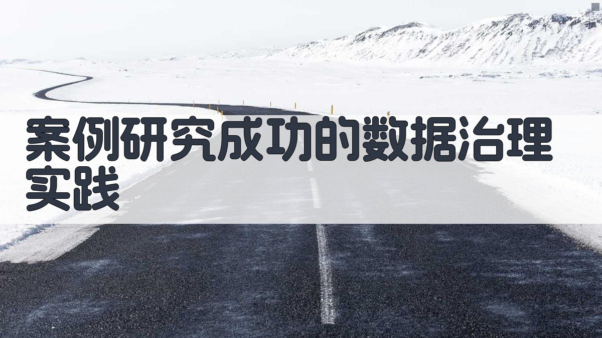 案例研究成功的数据治理实践 图4