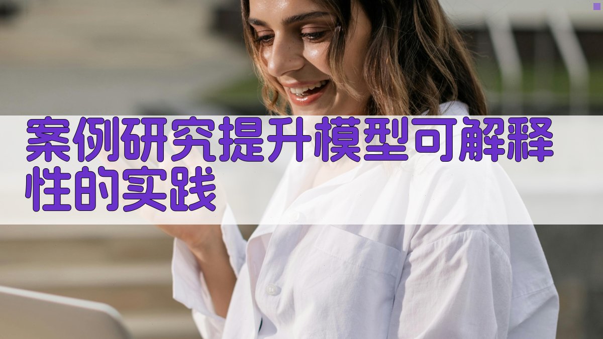 案例研究提升模型可解释性的实践 图1