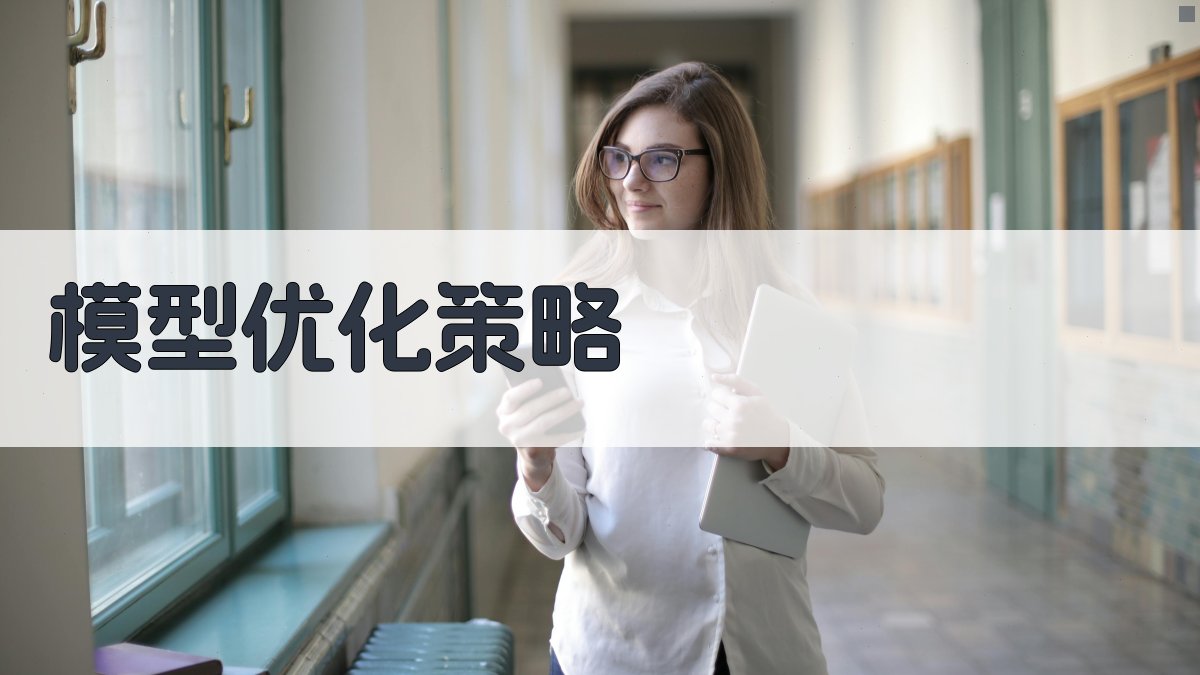 模型优化策略 图2