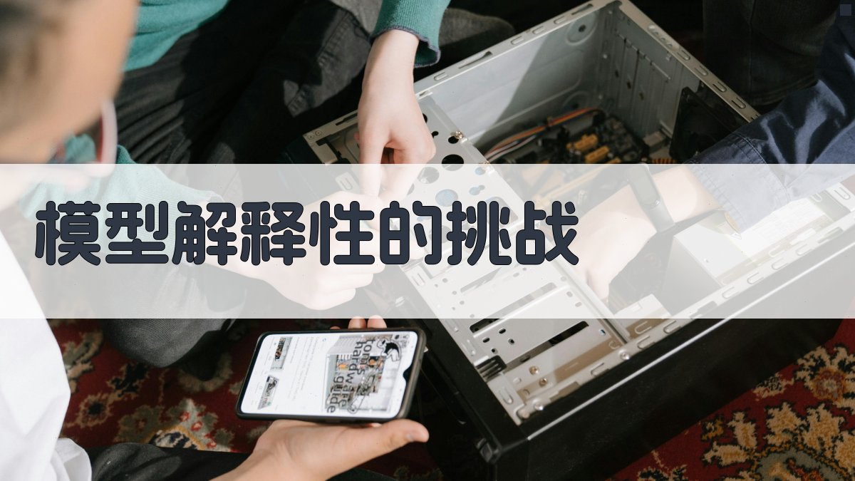 模型解释性的挑战 图1