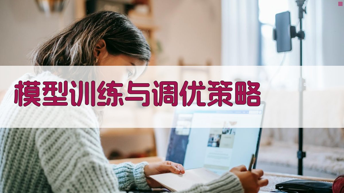 模型训练与调优策略 图3