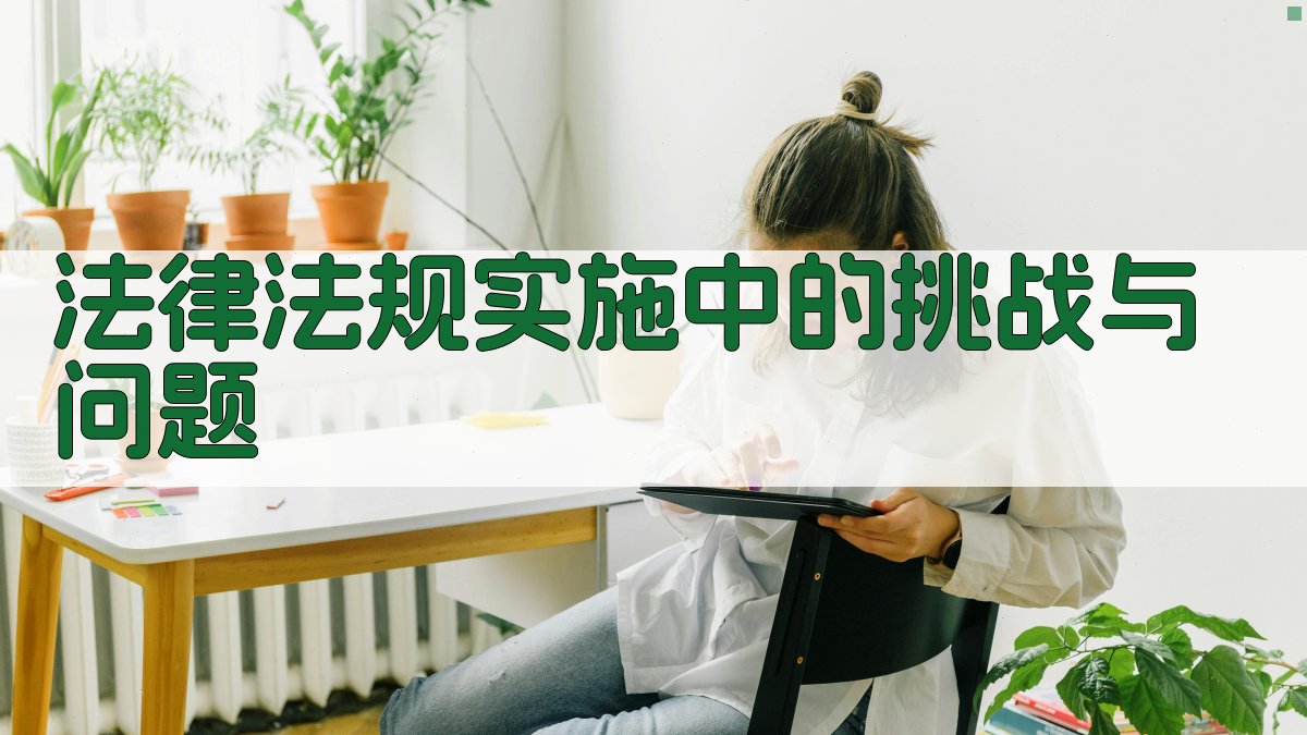 法律法规实施中的挑战与问题 图3
