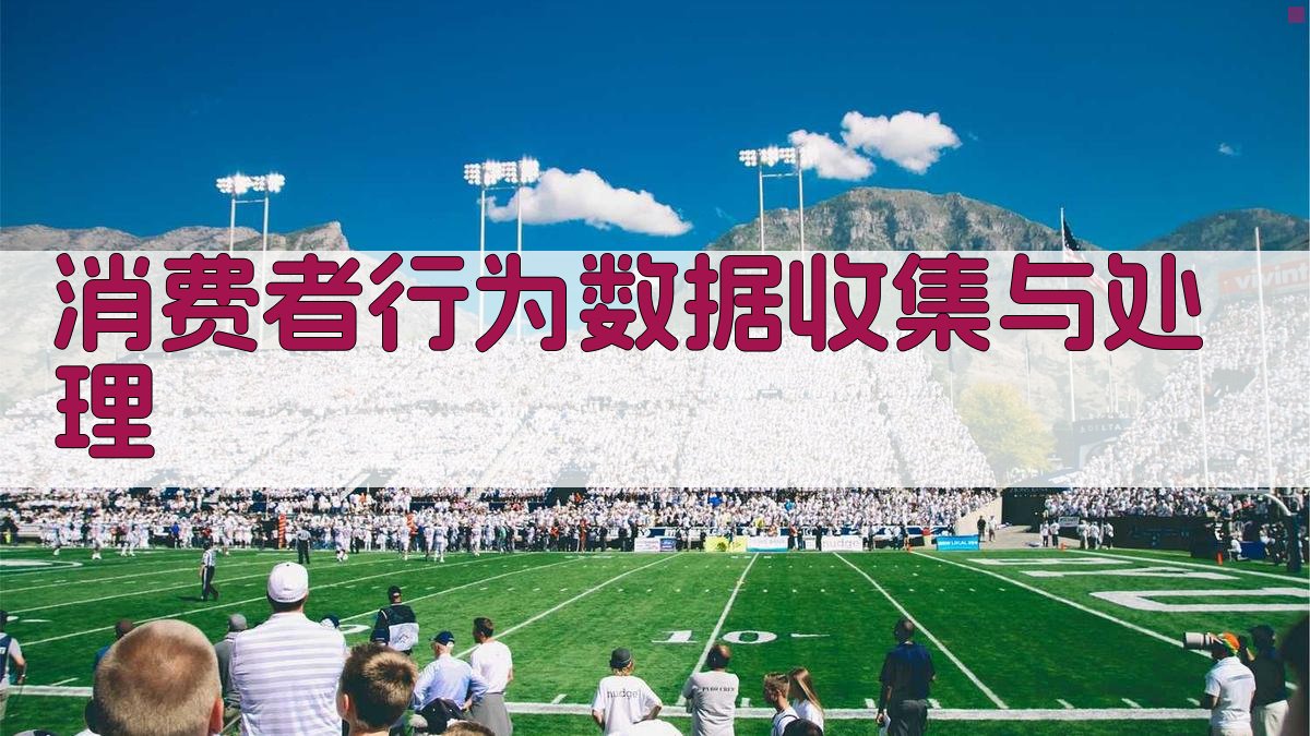 消费者行为数据收集与处理 图2