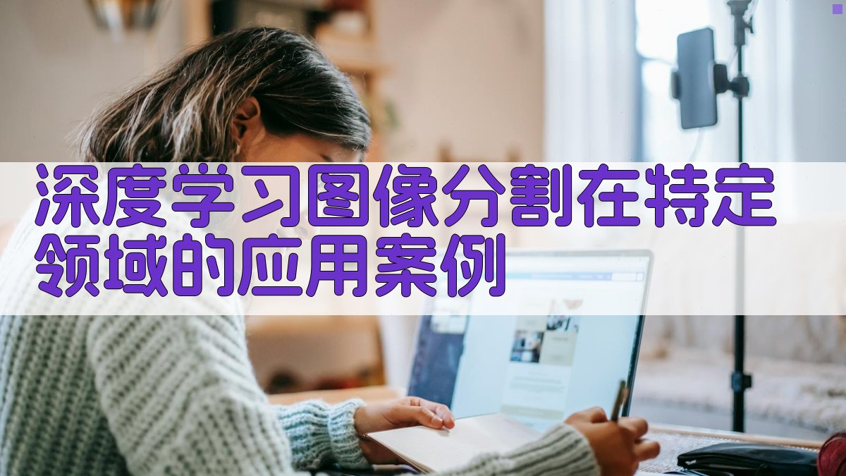 深度学习图像分割在特定领域的应用案例 图2