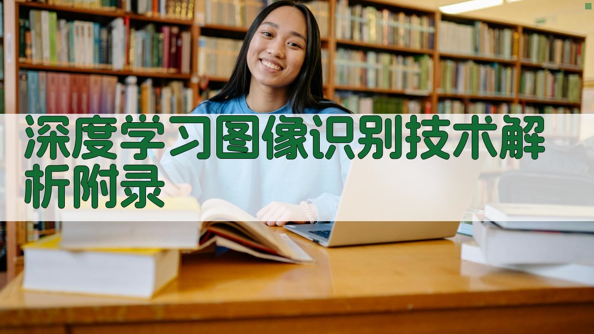 深度学习图像识别技术解析 · 附录 图5