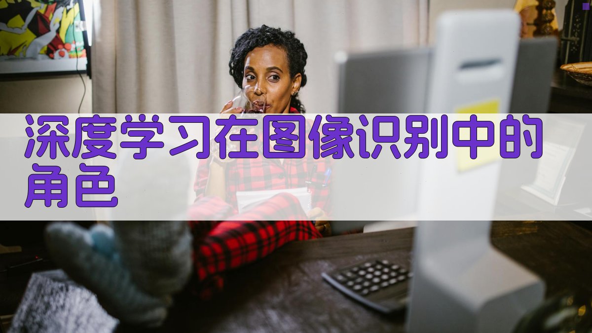 深度学习在图像识别中的角色 图2