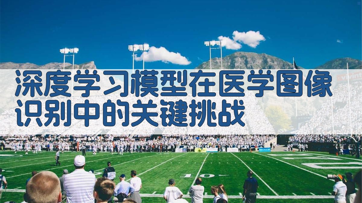 深度学习模型在医学图像识别中的关键挑战 图1