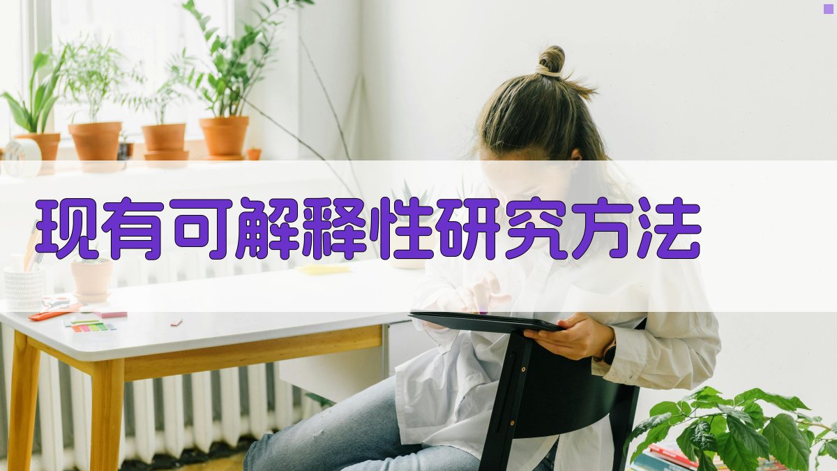 现有可解释性研究方法 图1