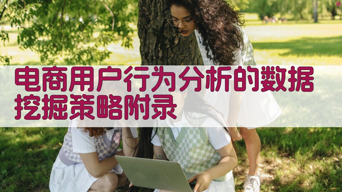 电商用户行为分析的数据挖掘策略