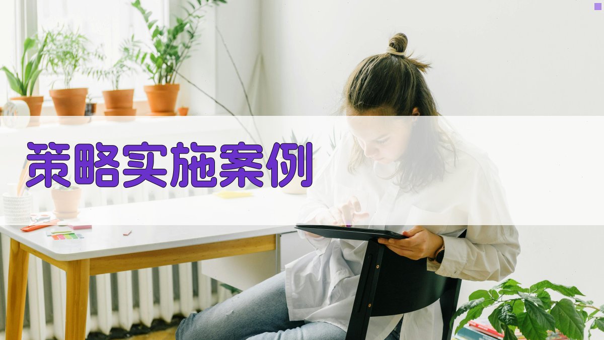 策略实施案例 图1