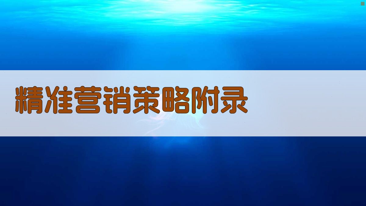 精准营销策略 · 附录 图5