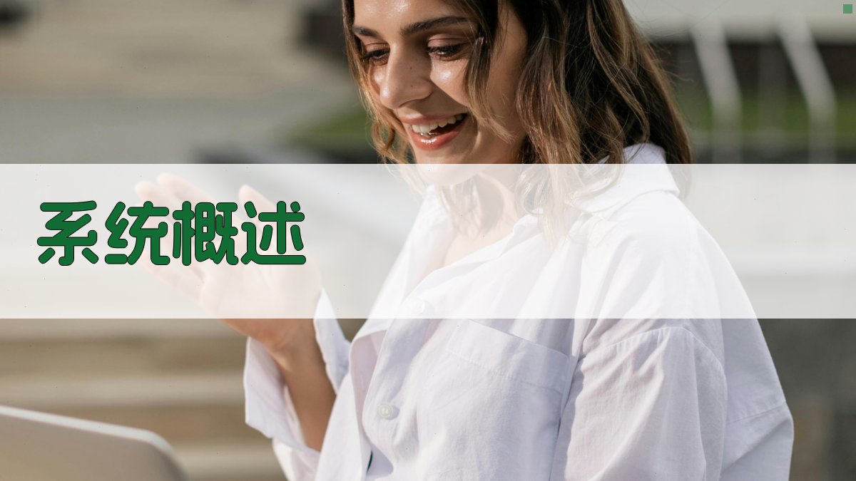 系统概述 图1